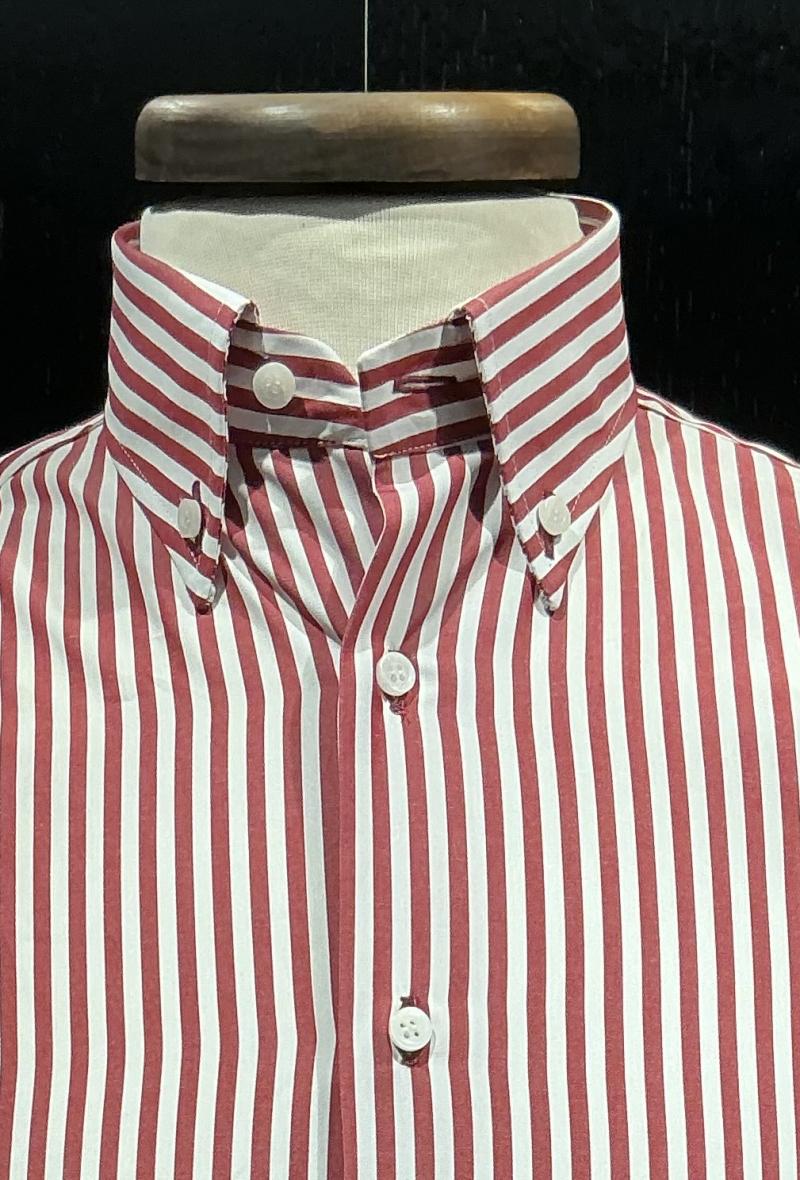 Button down righe